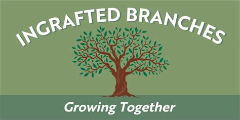 Fundraising for renovation and upgrades , Bethel Central Church ...