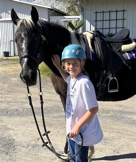 Gallery – Pegasus Riding School