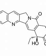 喜树碱 的图像结果