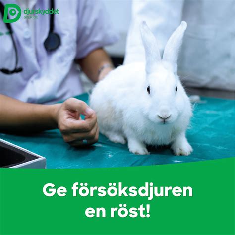 Djur som används inom forskning... - Djurskyddet Örnsköldsvik