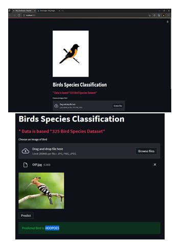 Bird Species Classification Using MATLAB 的图像结果