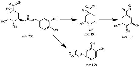 Compounds Identification in Semen Cuscutae by Ultra-High-Performance ...