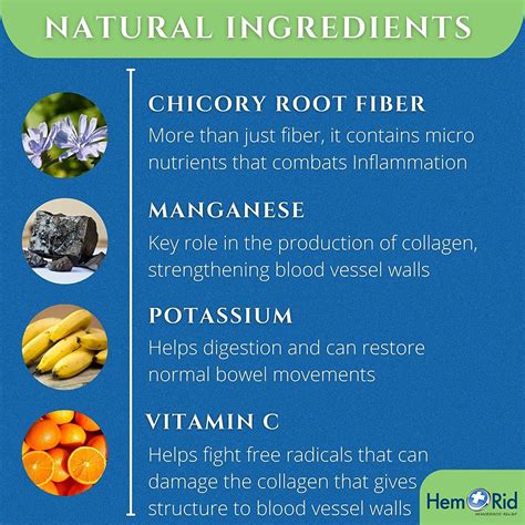 HemRid Fiber Gummies - Fast Hemorrhoid Pain Relief | Heal Hemorrhoids Naturally | Made in the ...