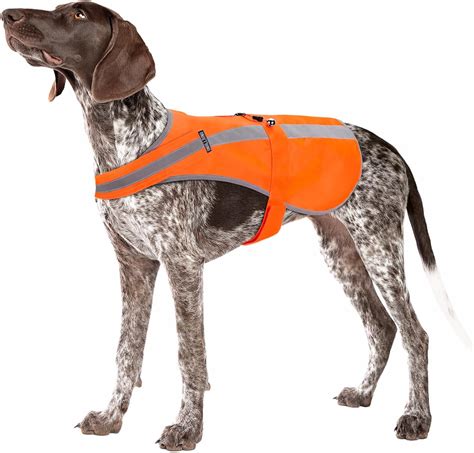 Top-Rated Orange Dog Hunting Vests For Safety And Visibility In The ...