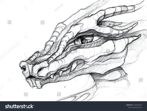 Dragon Head Pencil Drawings