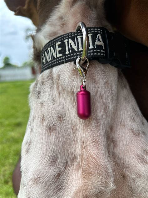 Address Capsules for Dogs & Cats