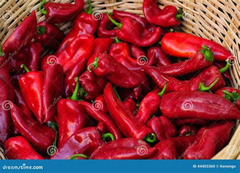 Fresh Cayenne Pepper on Basket Stock Photo - Image of basket, bright ...