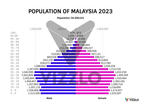 POPULATION OF MALAYSIA 2023 — Vizzlo