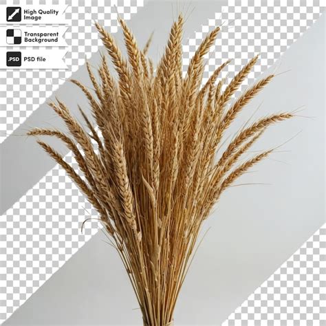 Psd wooden brush for cleaning on transparent background with editable ...