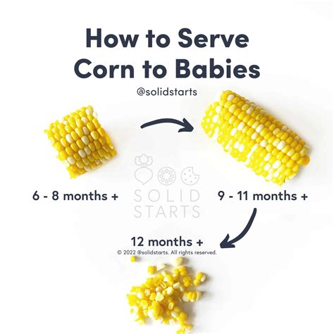 Can Babies Eat Corn? - First Foods for Baby - Solid Starts