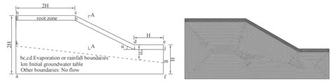 Stability of Ficus virens-Reinforced Slopes Considering Mechanical and ...