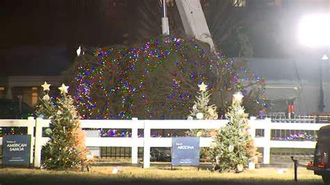 “Lobster Fries” un plato dedicado a Tampa por Santa Maria Kitchen | WFLA