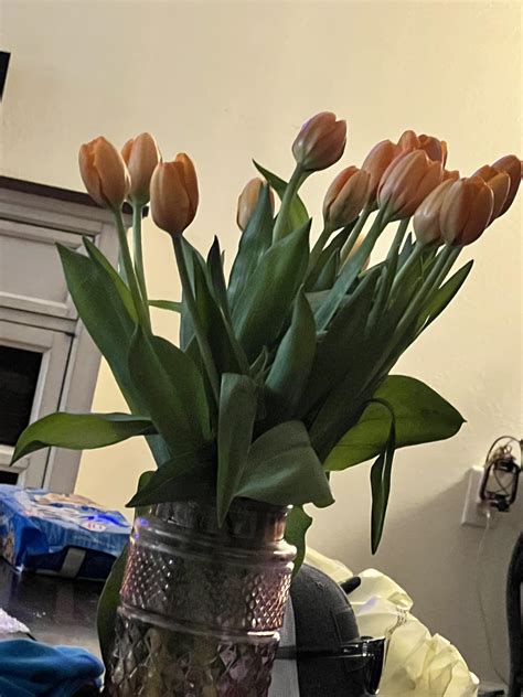 El Tejano Newspaper (@eltejanostarr) • Instagram photos and videos