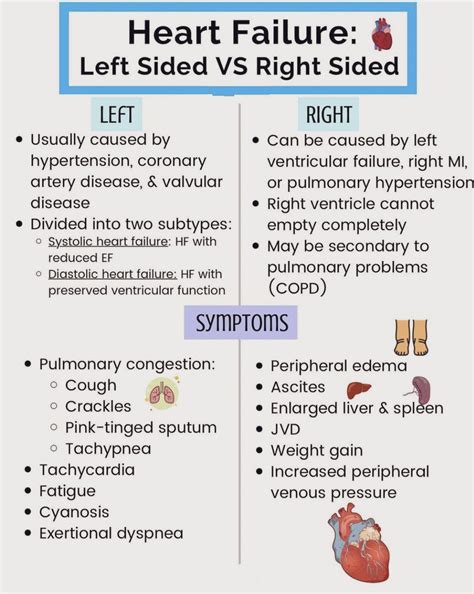 PT Flashcards On X: CARDIOVASCULAR: RIGHT-SIDED AND, 44% OFF