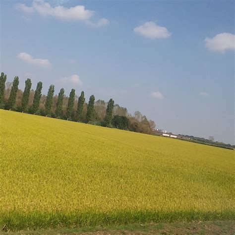 Rice Paddies Po River (Vercelli) - 2022 What to Know Before You Go ...