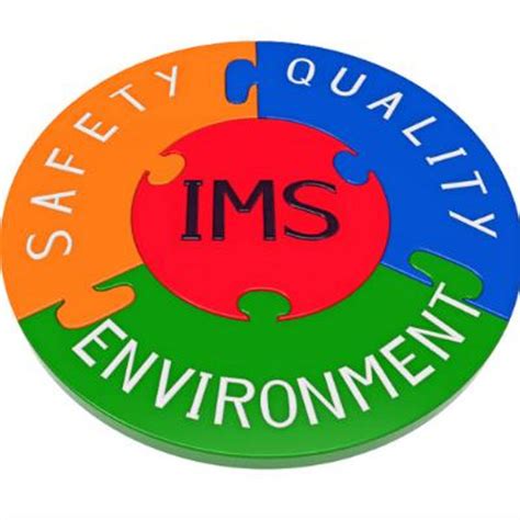 Example of Integrated Management System 的图像结果