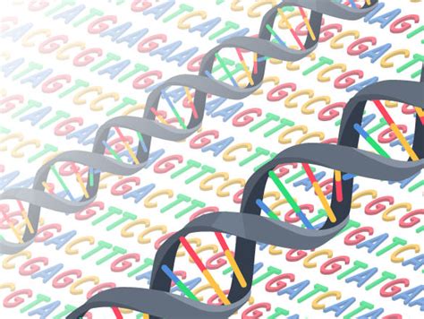 Image result for Genetic Code Videos