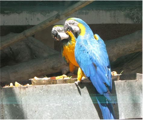 National Zoological Park