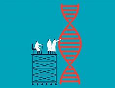 Image result for genomes