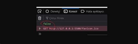 Data Type in JavaScript 的图像结果