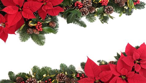 Christmas Poinsettia Wallpapers - Wallpaper Cave