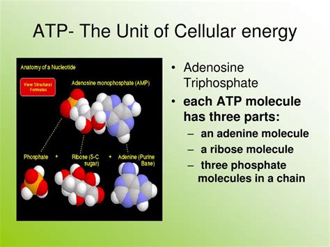 Energy Molecule 的图像结果