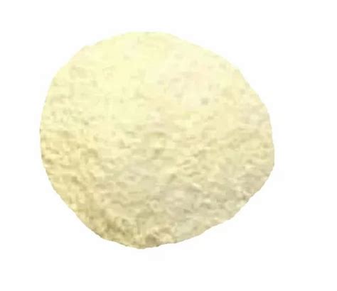 Spray Dried Powders - Spray Dried Garlic Powder Manufacturer from New Delhi