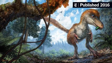 Velociraptor Feathers