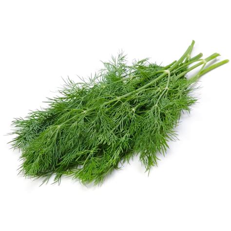Leafies