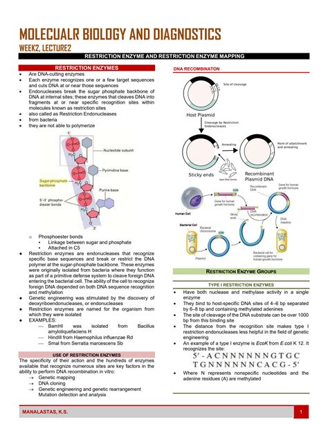 Image result for Restriction Enzyme Map