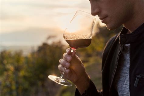 How to Tell if Wine Has Gone Bad? Here Are Three Easy Clues To Get the ...
