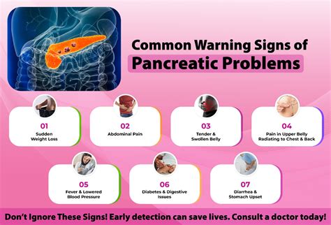 Symptoms of Pancreatic Disease: Early Signs & Diagnosis