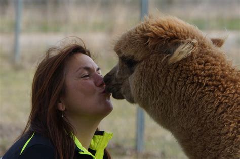 Erlenbach Tourism (2023): Best of Erlenbach, Germany - Tripadvisor