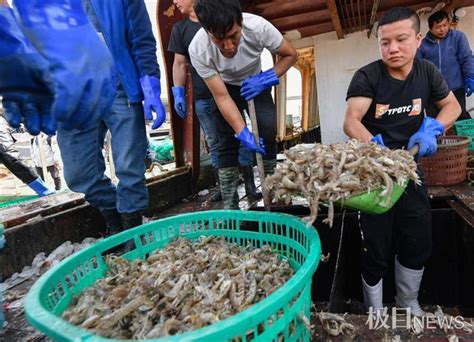 浙江舟山：千吨鱼货投入节日市场-人民图片网