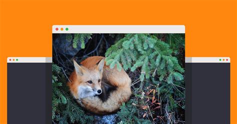 Image result for Firefox Features and Tips