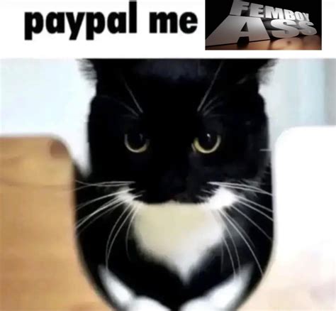 "The joke is porn!" Okay. : r/whenthe