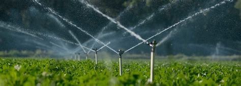 Image result for Basis Pump Operation Tutorial