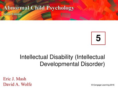 Image result for What Is Intellectual Developmental Disability