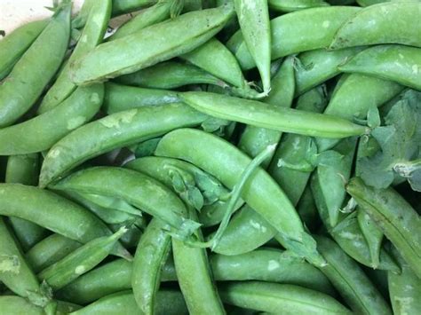 Fresh Local Produce 的图像结果