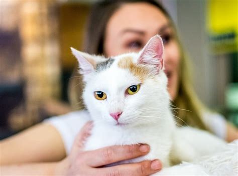 Udomite macu na Mrnjau vikendu, u nedelju 15. septembra u Domu omladine ...