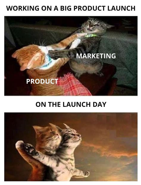 POV: Me helping my partner launch their first SEO product. Jokes aside, absolutely delighted to ...