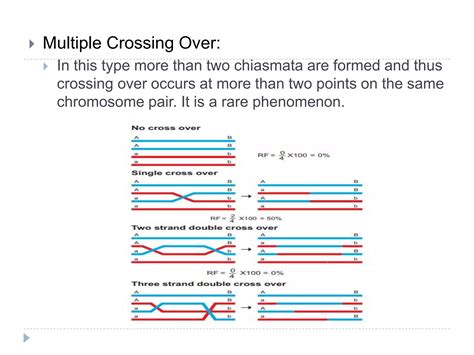 Chromosomal Crossing Over.pptx