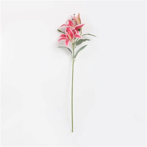 Buy Botanical Artificial Tiger Lily Stick - 82cm from Home Centre at ...