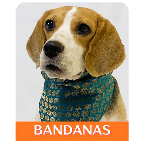 Indian Collection: Bandana – Pawgy Pets