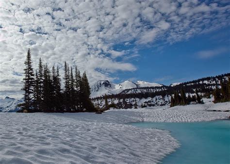 Garibaldi Highlands Tourism (2023): Best of Garibaldi Highlands, Canada ...