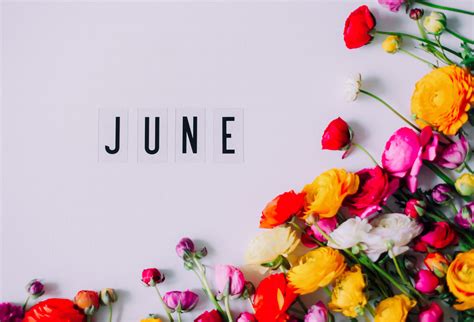 Hello June... | Season quotes, Beach quotes, Hello june