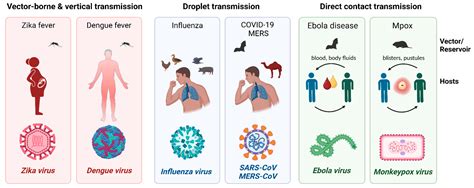 Traveler S Diarrhea Organism Meet The Parasites That Want To Be Your