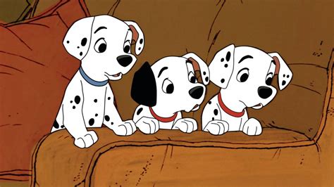 Download 101 Dalmatians Curious Puppies Wallpaper | Wallpapers.com