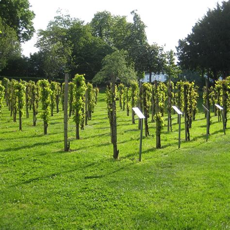 Colombipark (Freiburg im Breisgau) - All You Need to Know BEFORE You Go