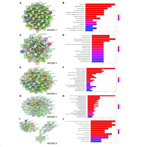 Image result for Mcode Tutorial Cytoscape